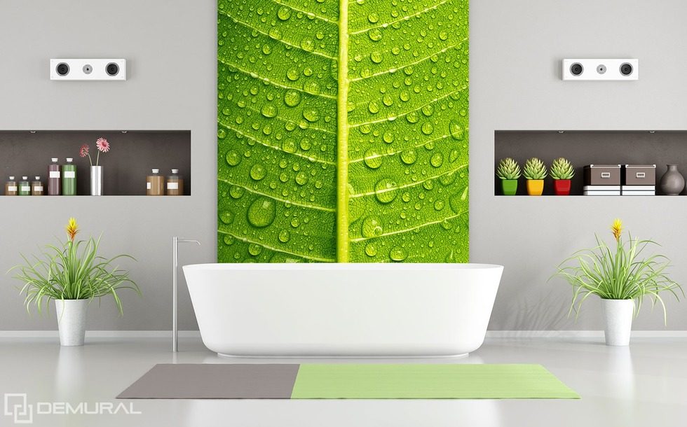 Grüne, vertraute Annäherungen Fototapeten für Badezimmer Fototapeten Demural