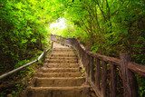 Grüne Treppen, ruhige Tage 
