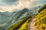 Alpenpfad am Morgenlicht