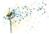Federleichte Aquarell-Pusteblume im Frühling