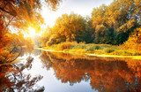 Goldene Herbststimmung am Flussufer