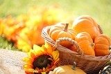 Herbstlicher Korb mit Kürbissen und Sonnenblume