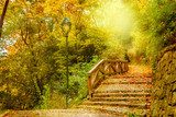 Herbstlicher Pfad ins Sonnenlicht