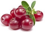 Nahaufnahme roter Preiselbeeren mit Blättern