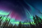 Polarlicht über stillem Nadelwald