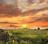 Sanfter Abend über Weinbergen