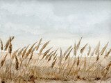 Sanftes Herbstlicht im Feld