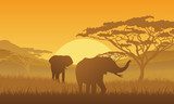 Schatten der afrikanischen Savanne