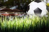 Spielmoment im Sonnenlicht
