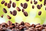 Tanz der Kaffeebohnen im Morgenlicht