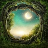 Tor zu einer magischen Nachtlandschaft
