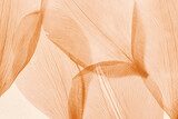 Transparente Blätter in sanftem Orange