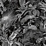 Tropische Dschungel-Illusion in Schwarz-Weiß