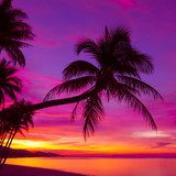 Tropischer Sonnenuntergang am Meer