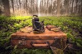 Verträumter Herbstspaziergang im Vintage-Stil