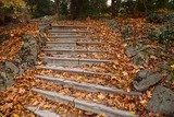 Verzauberter Herbstpfad im Wald
