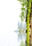 Zen-Moment mit Lotus und Bambus