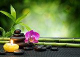 Zen-Moment mit Orchidee und Bambus