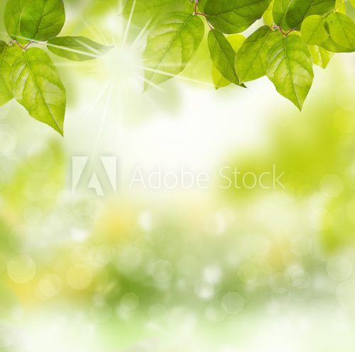 Fototapeten für Schlafzimmer | Demural®