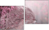 Diptychon
