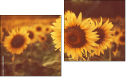 Diptychon
