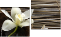 Diptychon