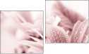 Diptychon