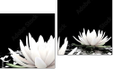 Diptychon