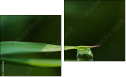 Diptychon