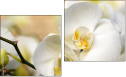 Diptychon