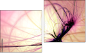 Diptychon
