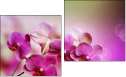 Diptychon