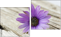Diptychon