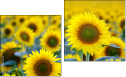 Diptychon