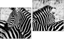 Diptychon