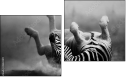 Diptychon