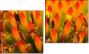 Diptychon