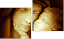 Diptychon