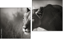 Diptychon