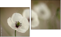 Diptychon