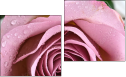 Diptychon
