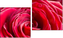 Diptychon