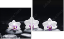 Diptychon