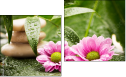 Diptychon