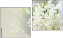 Diptychon