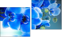 Diptychon