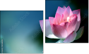 Diptychon