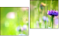 Diptychon