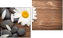 Diptychon