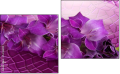 Diptychon